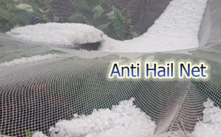 Anti Hail Net ၏လုပ်ဆောင်ချက်