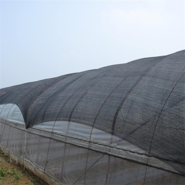 Sun Shade Net သည် နှင်းခဲခြင်းကို ကာကွယ်နိုင်ပါသလား။