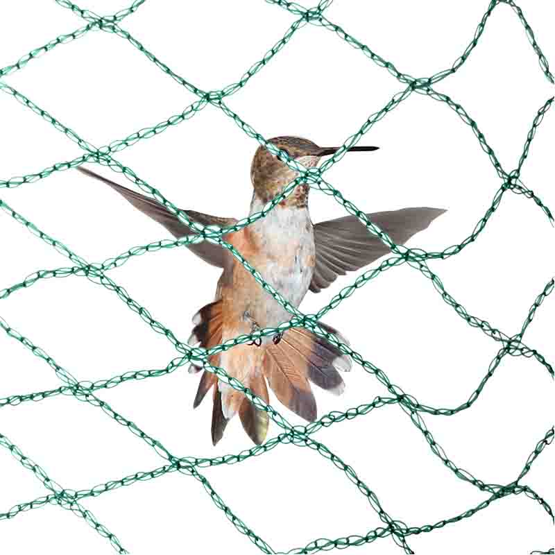 Anti-bird net ၏အကျိုးကျေးဇူးကဘာလဲ။