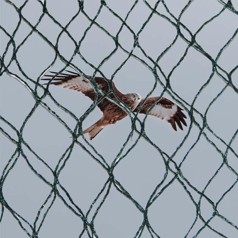 သားငှက်ကာကွယ်ရေးပိုက်ကွန်၏ ပစ္စည်းရွေးချယ်မှုနှင့် အားသာချက်များနှင့် အားနည်းချက်များသည် အဘယ်နည်း။