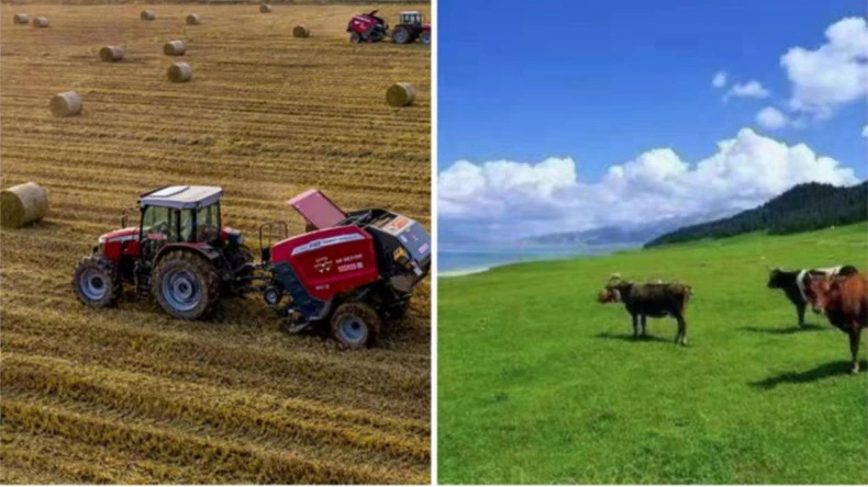 စိုက်ပျိုးရေးလုပ်ငန်းများတွင် ဘေထုပ်ပိုက်ကွန်ထုပ်ကို အသုံးပြုခြင်း။