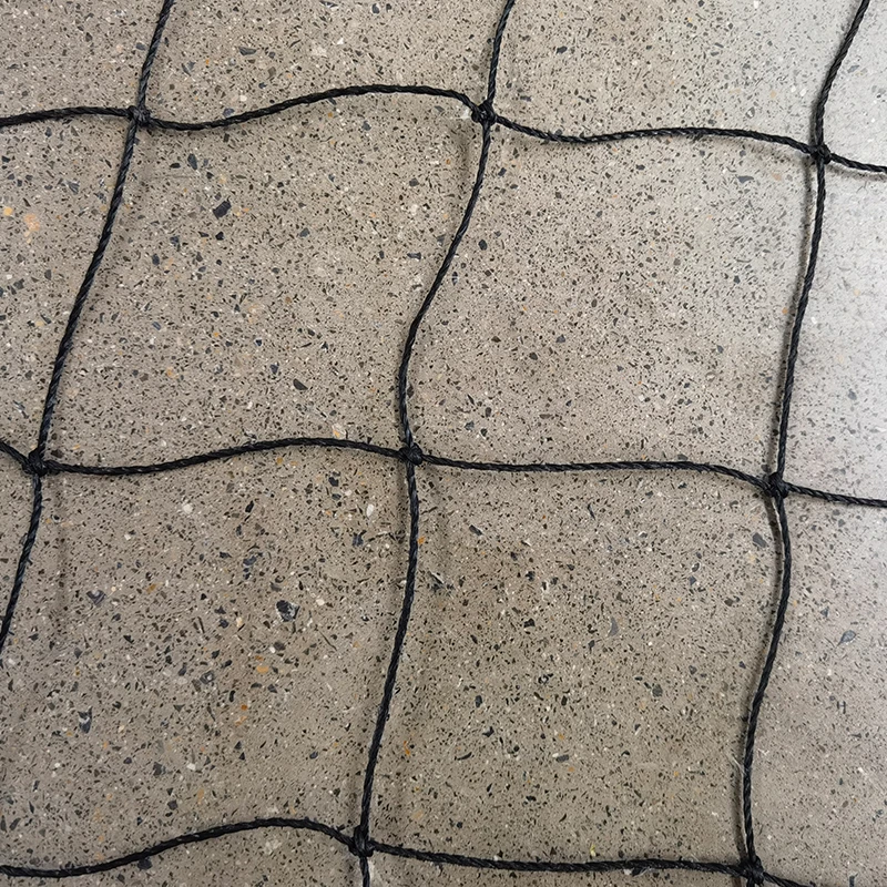 ခရစ်ကက်ပိုက်များ၏ အခန်းကဏ္ဍ