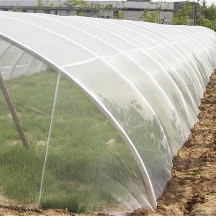 Anti-Insect Net - သင့်အိမ်နှင့်ဥယျာဉ်ကိုကာကွယ်ပါ။