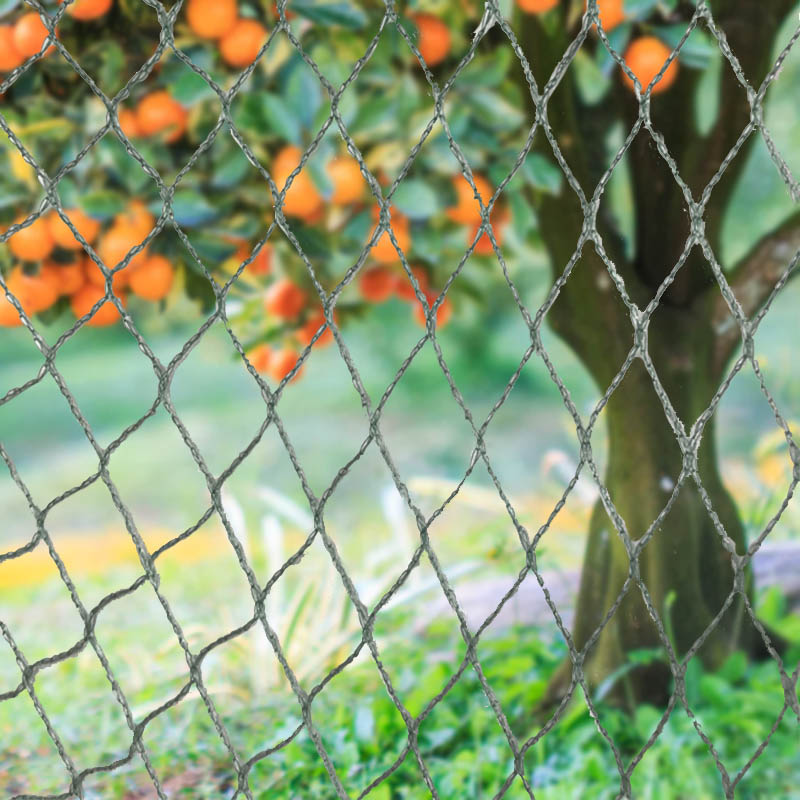 သင်၏ ကောက်ပဲသီးနှံများ၊ အိမ်ခြံမြေနှင့် ရင်းနှီးမြှုပ်နှံမှုများကို ကျွန်ုပ်တို့၏ လေးလံသောငှက်ကွန်တင်ဖြင့် ကာကွယ်ပါ။