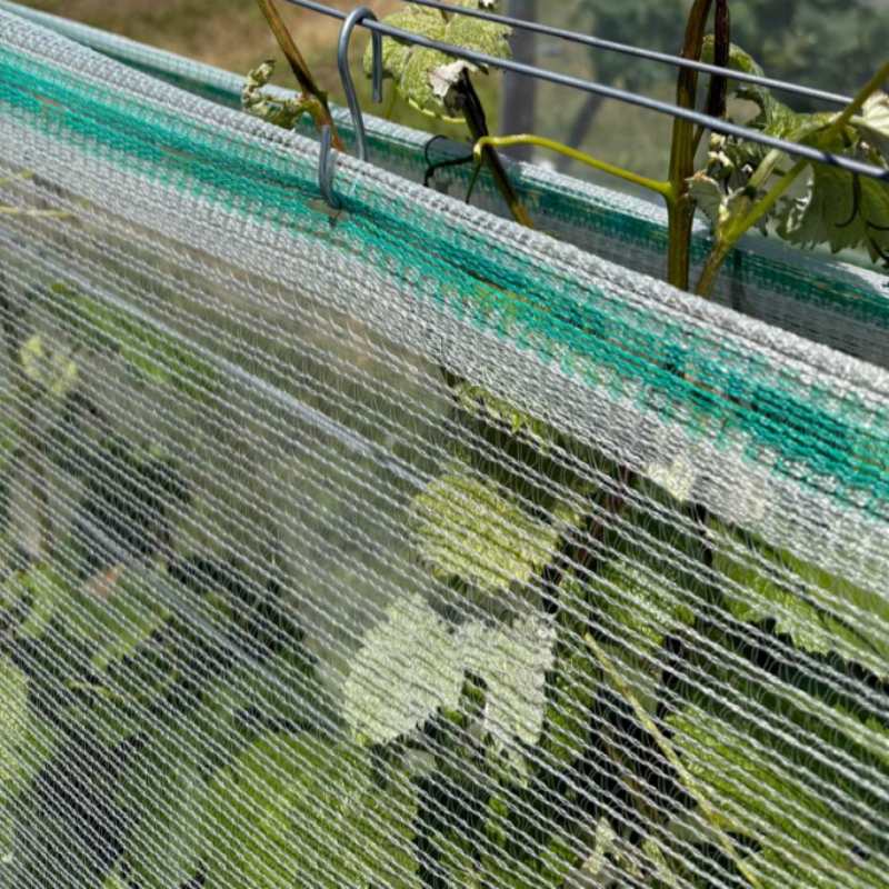 စိုက်ပျိုးရေး HDPE Anti-Hail Netting