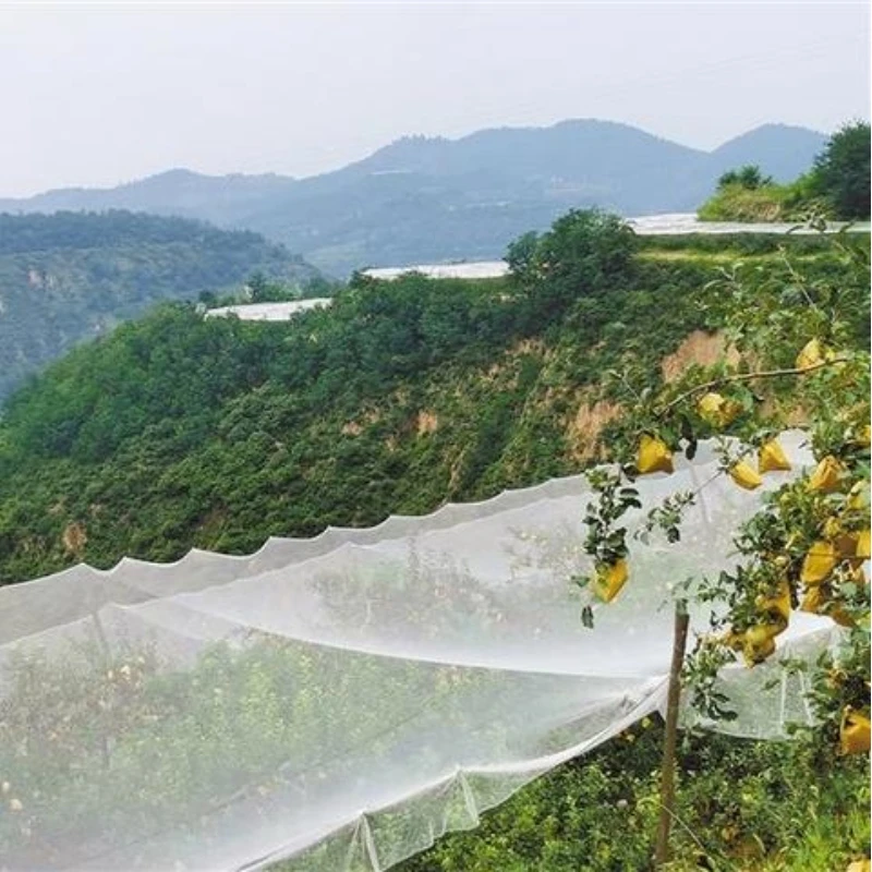 Apple Trees အတွက် Anti Hail Protection Nets