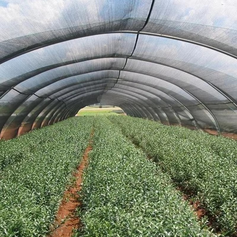 အပင်များအတွက် Garden Shade Cloth 40% Sunshine Block