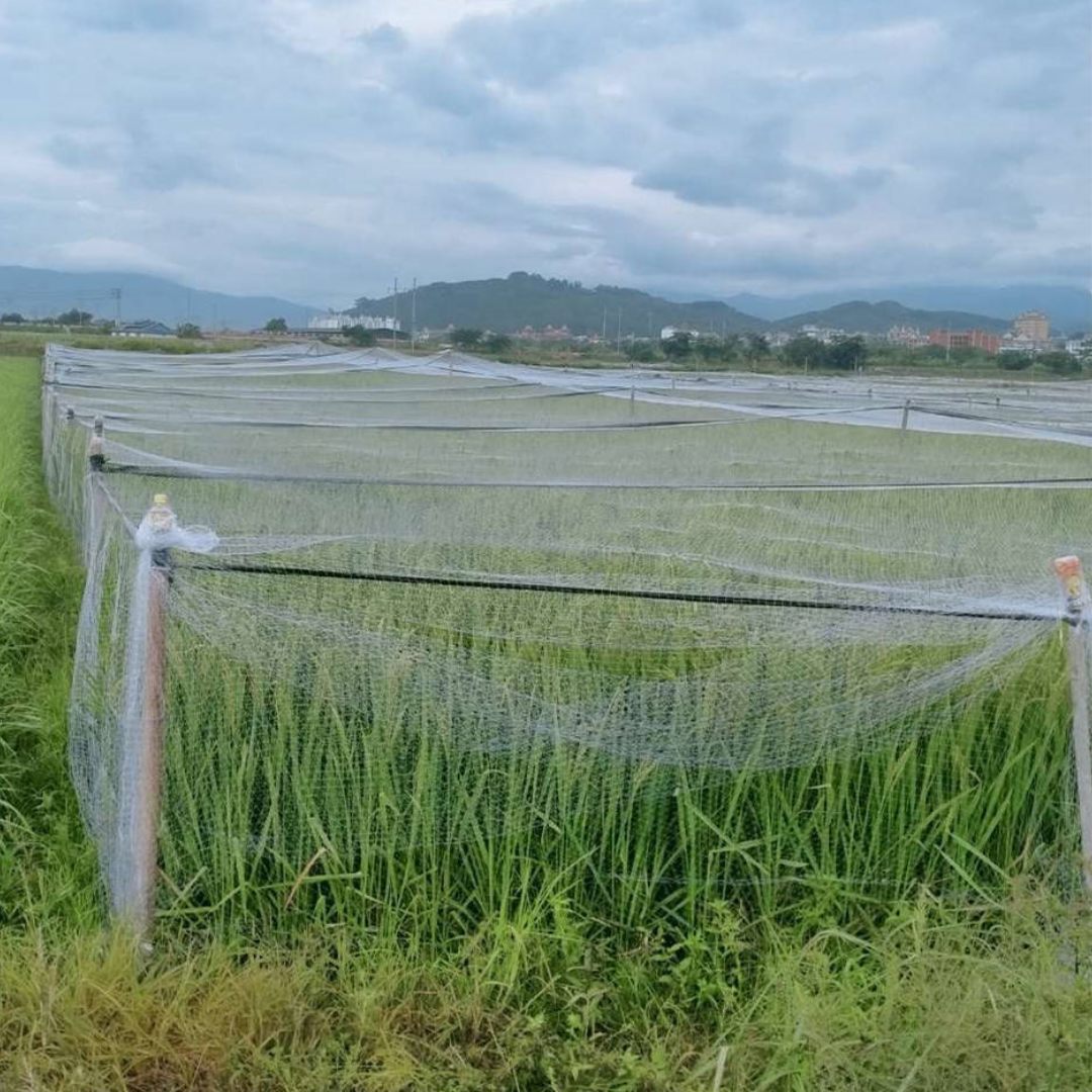 Heavy Duty Bird Netting