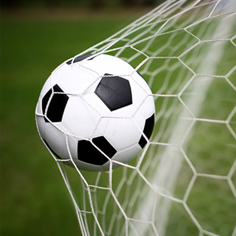 ဘောလုံးကွင်း Net