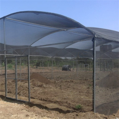 သီးနှံများအတွက် Wind Screen Shading Cloth Net